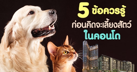 5 ��ͤ������͹�Դ������§�ѵ��㹤͹�