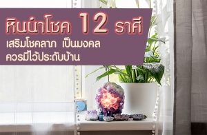 �Թ��⪤ 12 ���� �����⪤��� ������ ���������дѺ��ҹ