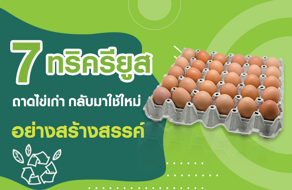 7 ��Ԥ����� �ӶҴ����ҡ�Ѻ�������������ҧ���ҧ��ä�