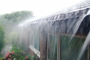 �������ҹ��������Ѻ˹�ҽ� �ҡ�Դ�ѭ�Ҩ����Ѻ�����ѹ��