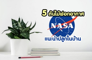 5 ͡ҡ "NASA" йӻ١㹺ҹ