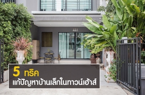 5 ��Ԥ ��ѭ�Һ�ҹ���㹷�ǹ�������