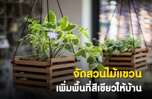 �Ѵ�ǹ����ǹ ������鹷������������ҹ