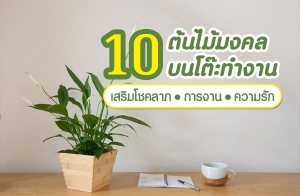 10 ��������� ����зӧҹ�����⪤��� ��çҹ ��Ф����ѡ