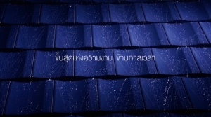 ������ͧ����ԡ Excella ��Ҫ�ҧ �١�÷��ͺ��������˹�͡������