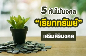 5 ��������� "���¡��Ѿ��" �������������