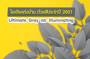 ������觺�ҹ �����ջ�Шӻ� 2021 Ultimate Gray ��� Illuminating