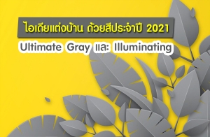 觺ҹ ջШӻ 2021 Ultimate Gray  Illuminating