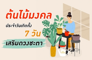 ��������� ��Ш��ѹ�Դ��� 7 �ѹ ������ǧ�е�