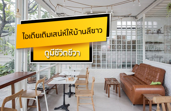 ���������ʹ�������ҹ�բ�� ���ժ��Ե����