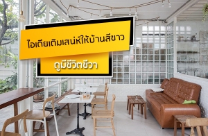 ���������ʹ�������ҹ�բ�� ���ժ��Ե����