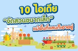 10 ����¨Ѵ�ǹ��Ҵ�������鹷��᤺���������