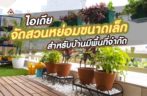 ����¨Ѵ�ǹ�������Ҵ��� ����Ѻ��ҹ�վ�鹷��ӡѴ