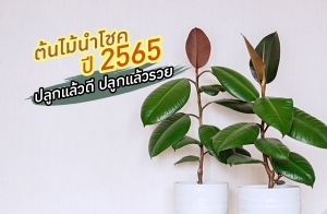 �йӵ�����⪤ �� 2565 ��١���Ǵ� ��١�������