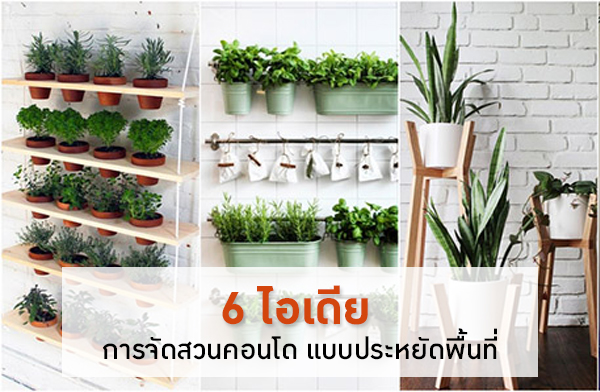 6 ����¡�èѴ�ǹ�͹� Ẻ�����Ѵ��鹷��