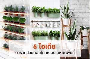 6 ����¡�èѴ�ǹ�͹� Ẻ�����Ѵ��鹷��