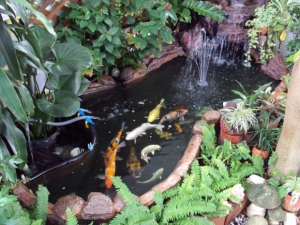 �ǧ���¡�èѴ�ǹ��ӵ� ��͹��˹�Һ�ҹ ��Ф����������ͧ��ͻ�����ѡ�ͧ�ǧ����