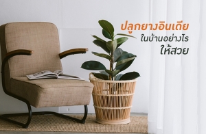 ��١���ҧ�Թ���㹺�ҹ���ҧ��������