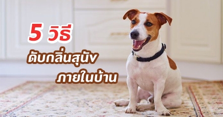 5 �ԸմѺ�����عѢ���㹺�ҹ