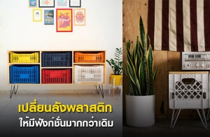 ����¹�ѧ���ʵԡ ����տѧ�����ҡ�������