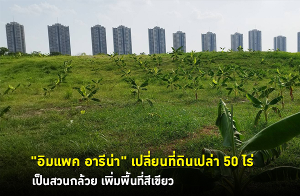 ���ᾤ ���չ�� ����¹���Թ���� 50 ��� ���ǹ����� ������鹷��������