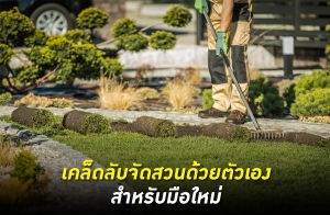 ����Ѻ�Ѵ�ǹ���µ���ͧ ����Ѻ�������