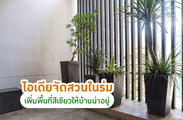 ����¨Ѵ�ǹ���� ������鹷������������ҹ�������