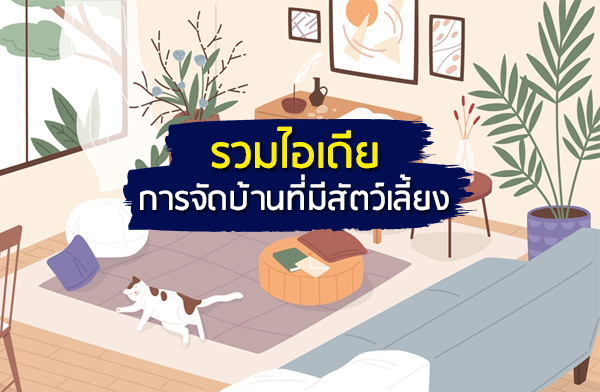 รวมไอเดียการจัดบ้านที่มีสัตว์เลี้ยง รวมไอเดียการจัดบ้านที่มีสัตว์เลี้ยง