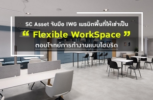 SC Asset Ѻ IWG Ե鹷 Flexible WorkSpace ͺ⨷÷ӧҹẺκԴ  ҤêԹѵ÷ 3