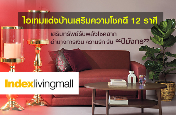 �Թ�硫� �Կ�������� �Դġ��ջ��ѧ�� ����¹���쵡�������ҧ�