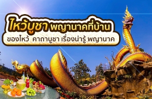 ٪ҾҹҤҹ ͧҶҺ٪ ͧǡѺҹҤ