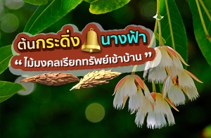 鹡д觹ҧ Ż١ѺѾ ͡͹д ¡Ѿ㹺ҹ