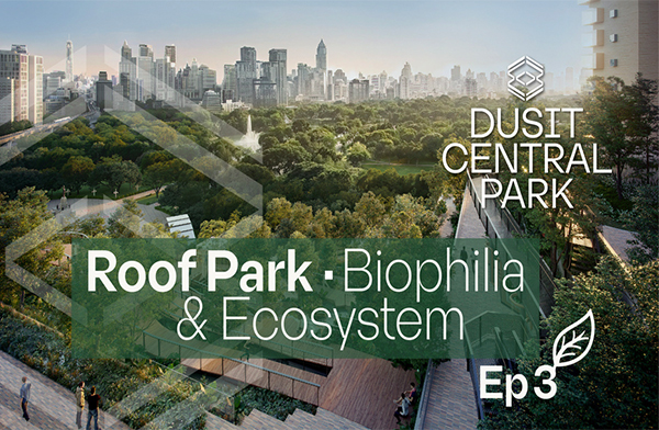 Dusit Central Park �ç����ԡ������дѺ�š