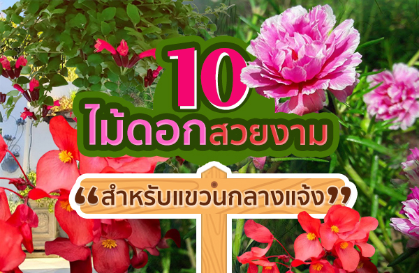 ���͡��§�� ����Ѻ�ǹ��ҧ��