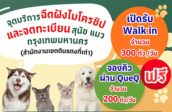 ���. ᨡ�ԡѴ �ѧ���êԻ-������¹�ѵ������§ �Դ����ԡ�ÿ�� �ͧ��Ǽ�ҹ�ͻ " QueQ "