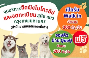 ���. ᨡ�ԡѴ �ѧ���êԻ-������¹�ѵ������§ �Դ����ԡ�ÿ�� �ͧ��Ǽ�ҹ�ͻ " QueQ "