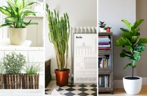 ��紡�û�١����� ���������ҡѺ��ҹ��赡������������ �鹤������º�������ʺ�µ�