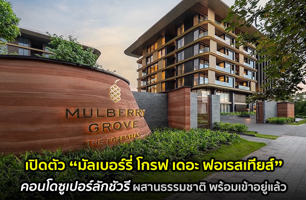 MQDC �Դ��� Mulberry Grove The Forestias Condominiums