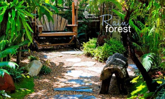 Rain Forest �ǹ��觤���������