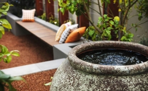 �ǧ���¾�ѧ������¡��Ѿ�� ��Өе�ͧ���������� ���� ������� ���ͪ��¹ӾҾ�ѧ�������ҹ��