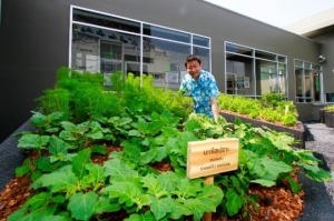 �ù�� �� �ش "�� ���ŷ� �Ѫ����" �٤͹�绵� ������Է�Ҫ�������ͧ