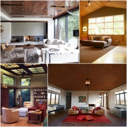 5 ����� ����ྴҹ��ͧ������ ���ҧ����ҡ����������Ѻ��ͧ�����������ҧ��