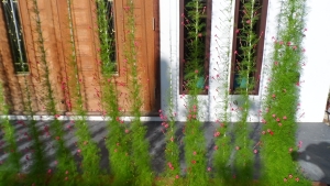 �ӫ�����������ª��¡ѹᴴ ��Ẻ������á���� �����»����Ѵ��㹡�����