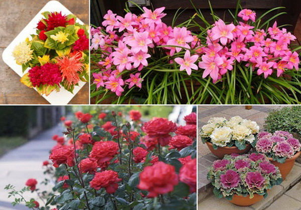 10 ��������͡��§�� ��һ�١��дѺ��ҹ�Ĵ�˹�� ����¹����ҡ�������仵��Ĵ١��