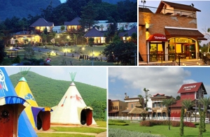 21 ���ѡ���˭�����ش� ���Դ�Ѻ�����ҵԷ�����ҧ����ҡ������غ��