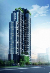 �;� �Թ����ͧ��¡�����ҧ����ش�ͧ�͹������� RHYTHM �ҧ���