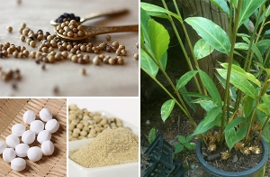 �Ըջ�ͧ�ѹ ��������ŧ�Һ㹺�ҹ ���ٵø����ҵԻ�ʹ��¡Ѻ��㹺�ҹ