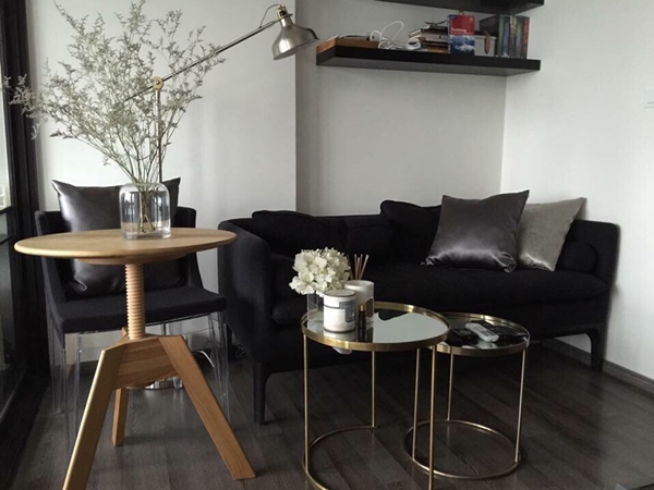 �觤͹�����������͹��ͧ������ҧ ���駺���«��ͧ͢��Ҥһ����Ѵ