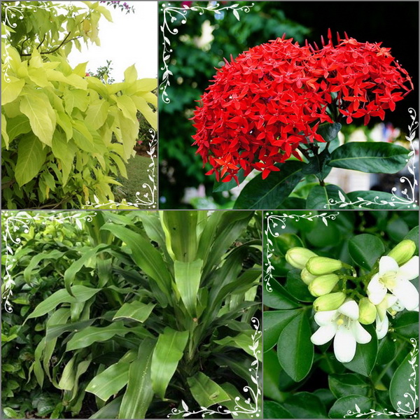 �����������������Ѻ��ҹ ���µ�����ʹ���� ����ѧ������ǧ�������´���