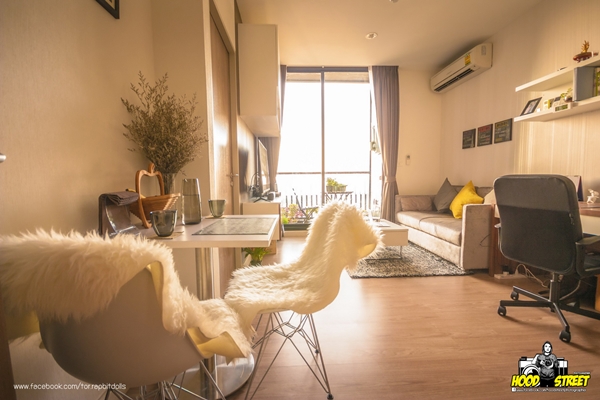 �觤͹���ͧ����